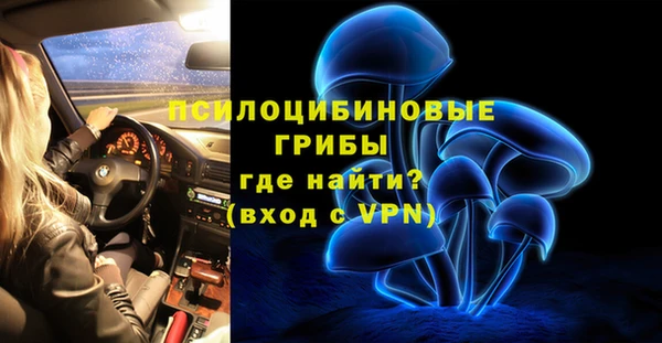 СК Арсеньев