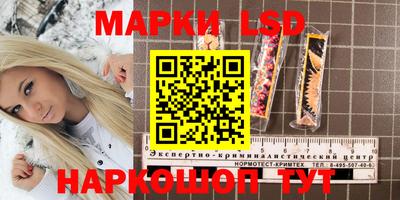 крисы Донской