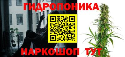 крисы Донской