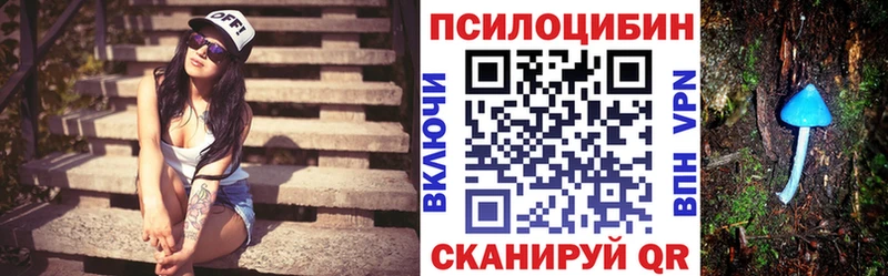 Псилоцибиновые грибы Magic Shrooms  Мурманск 