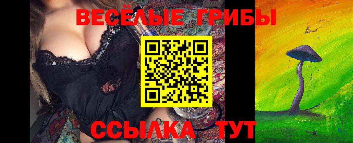 Галлюциногенные грибы Psilocybe  Вход с VPN  Мурманск 